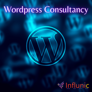 Wordpress Consultancy